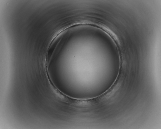 X0000115480945200911131212