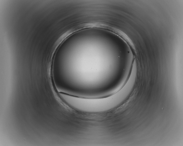 X0000115480946200911131212