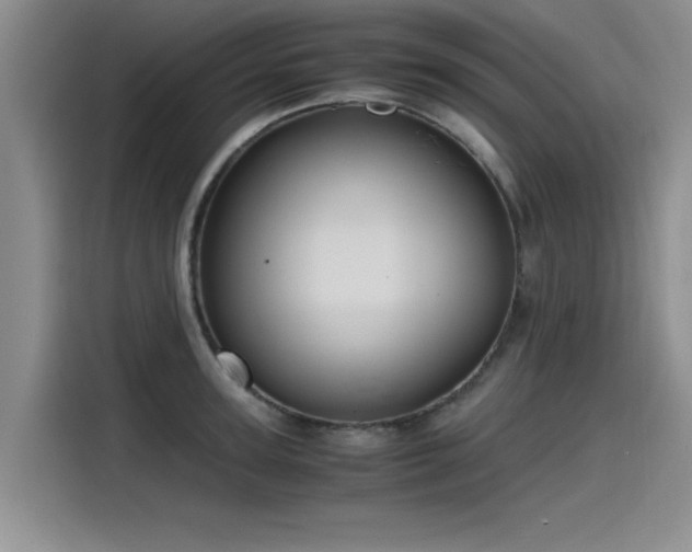 X0000115480947200911131212