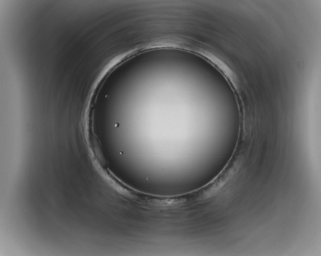 X0000115480949200911131212