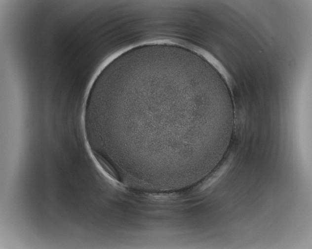 X0000115480951200911131213