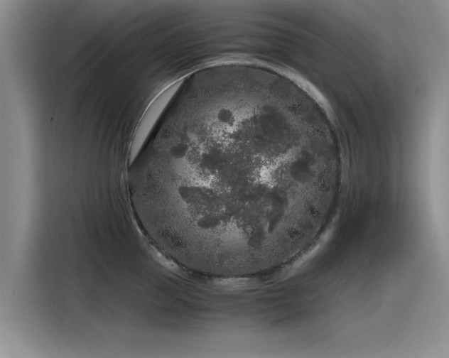 X0000115480953200911131213