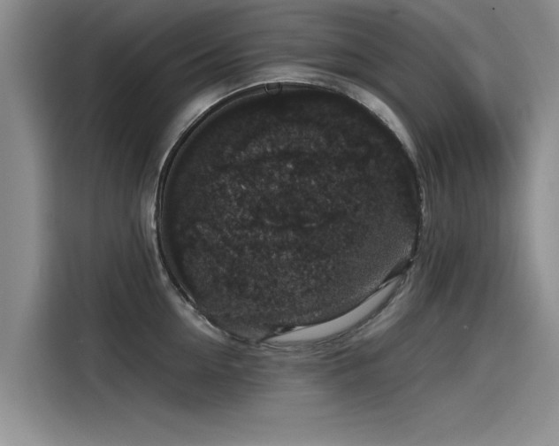 X0000115480954200911131213