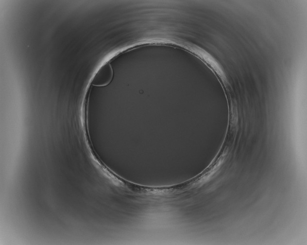 X0000115480958200911131213