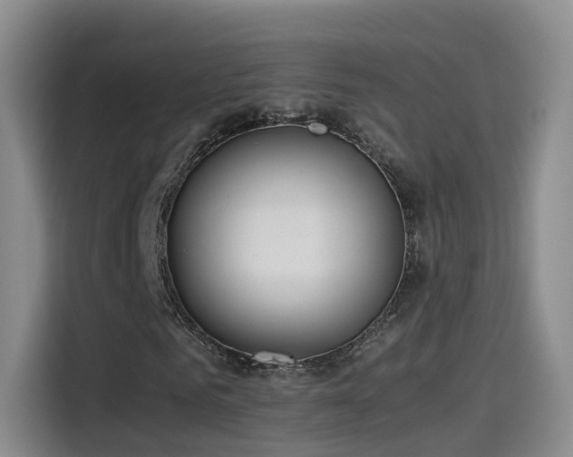 X0000115480961200911131212