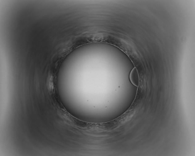 X0000115480962200911131212