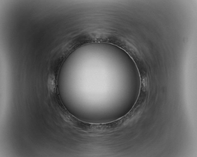 X0000115480963200911131212