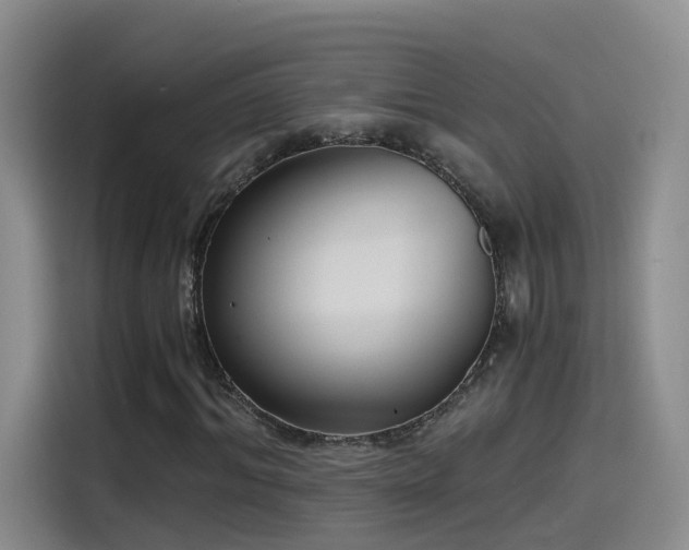 X0000115480964200911131212