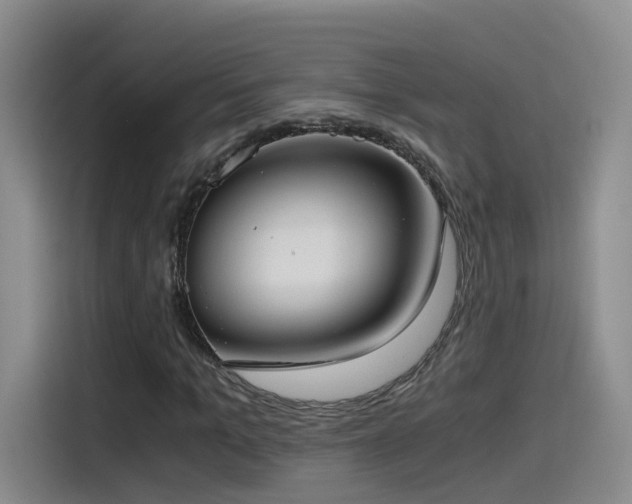 X0000115480965200911131212