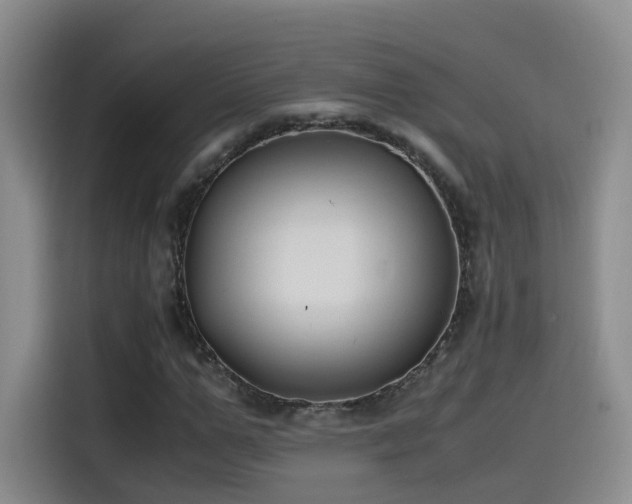 X0000115480967200911131212