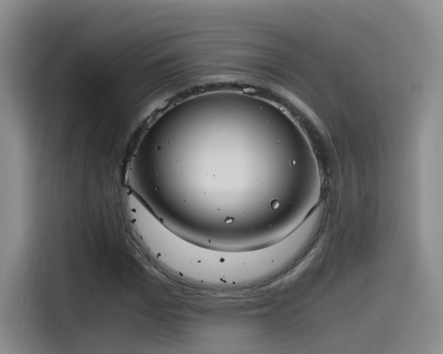 X0000115480969200911131212