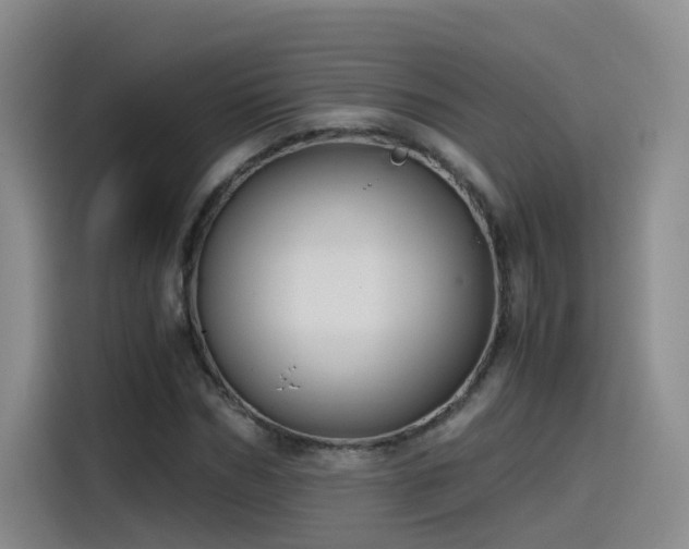 X0000115480970200911131212