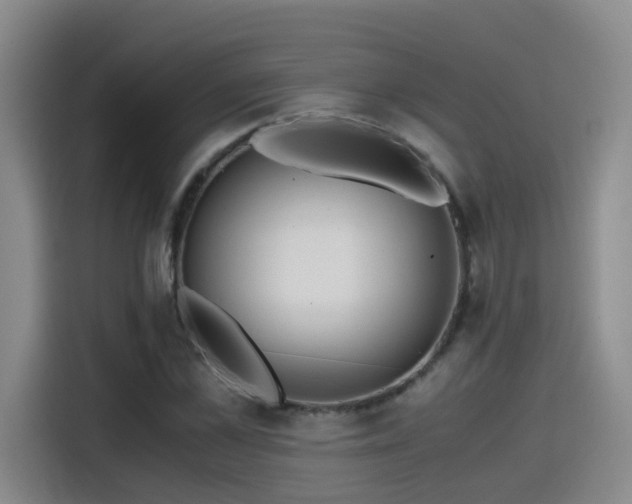 X0000115480973200911131212