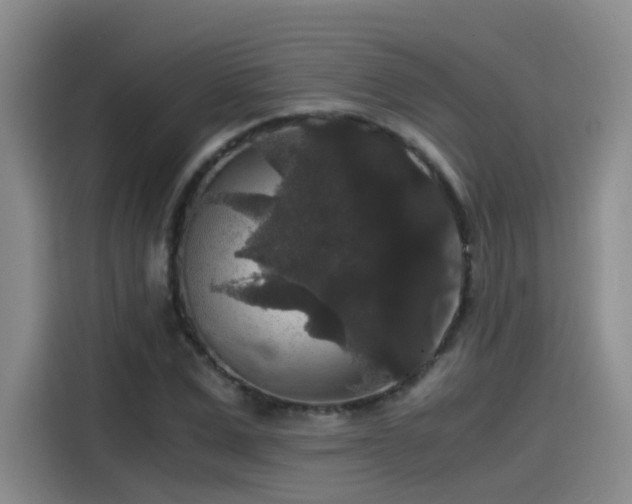 X0000115480975200911131212