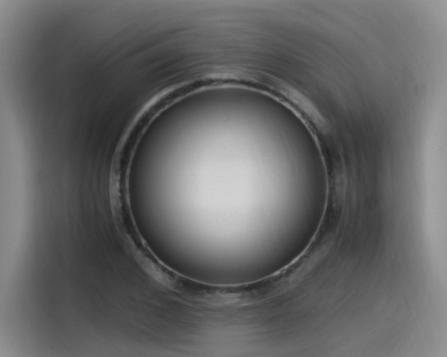 X0000115480976200911131212