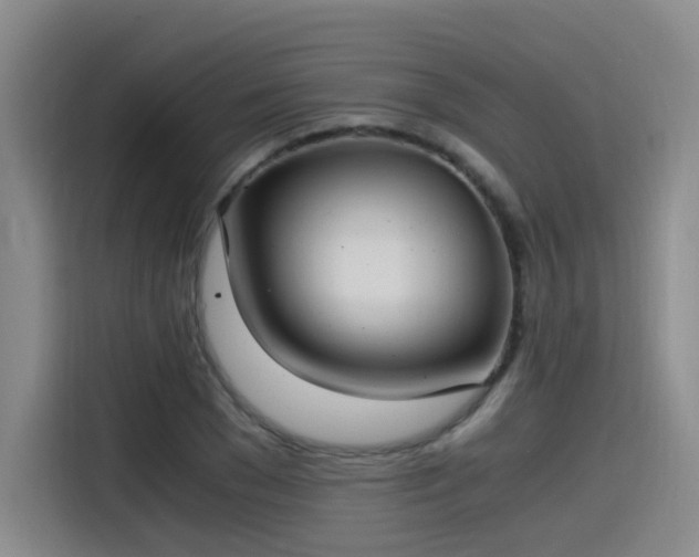 X0000115480977200911131212