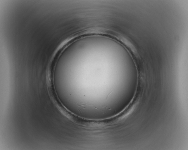 X0000115480981200911131212