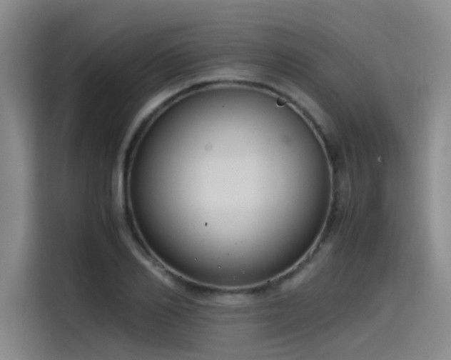 X0000115480982200911131212