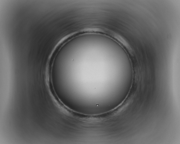 X0000115480984200911131212