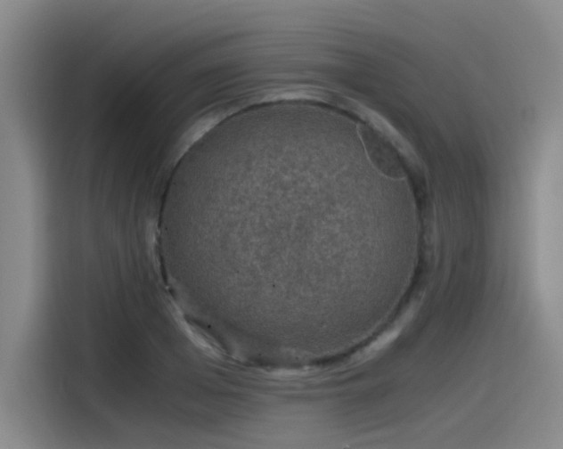 X0000115480985200911131212