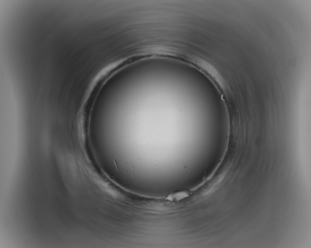 X0000115480987200911131212