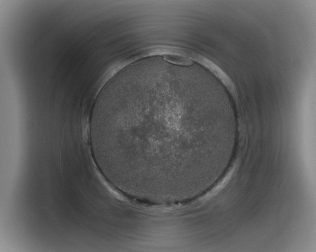 X0000115480993200911131212