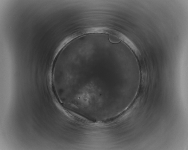 X0000115480994200911131212