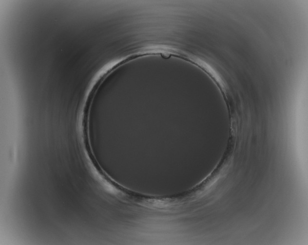 X0000115480995200911131212