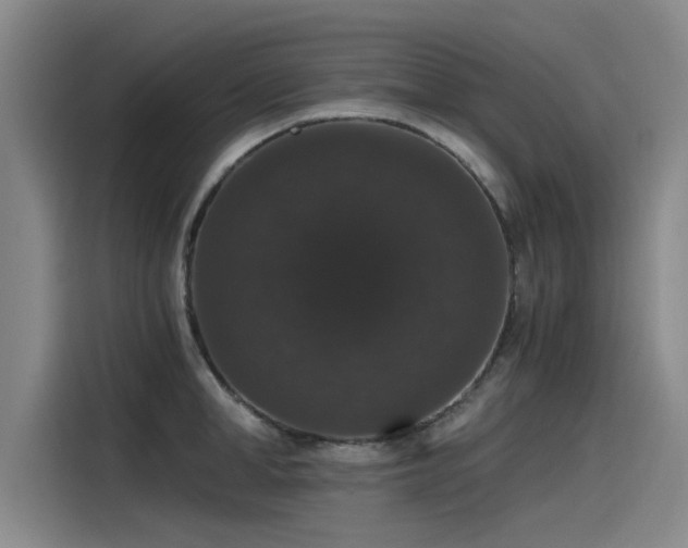 X0000115480998200911131212