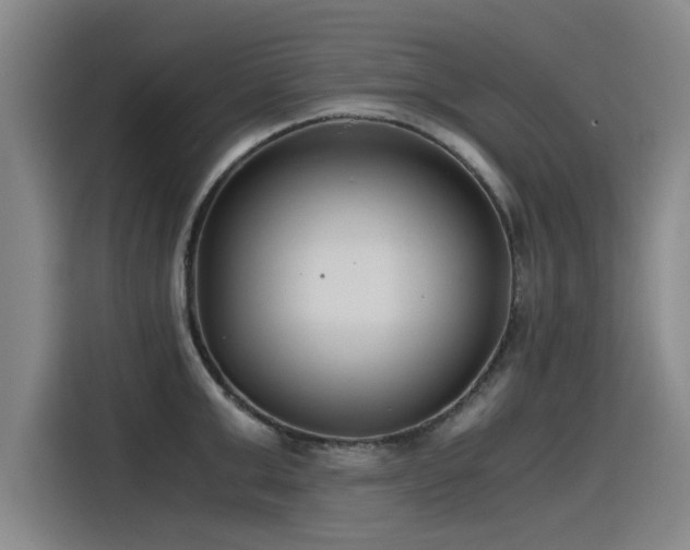 X0000115480999200911131212