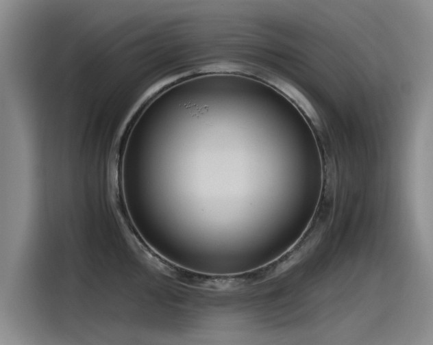 X0000115481000200911131212