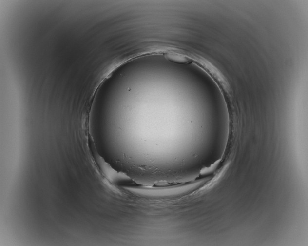 X0000115481001200911131211