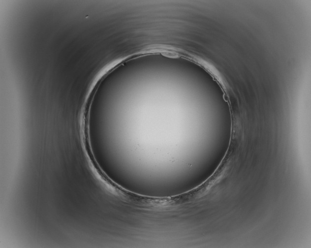 X0000115481003200911131211