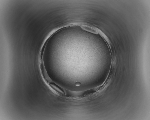 X0000115481005200911131211