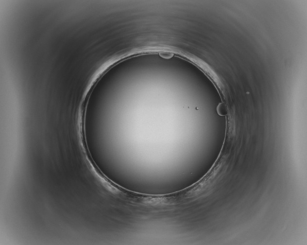 X0000115481006200911131211