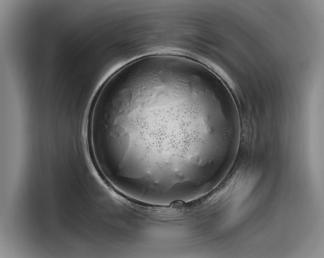 X0000115481007200911131211