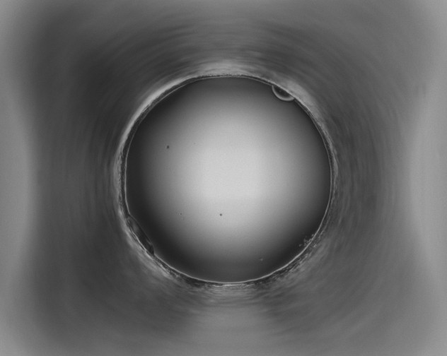 X0000115481008200911131211