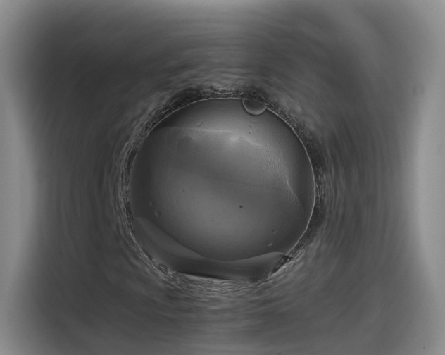 X0000115481009200911131211