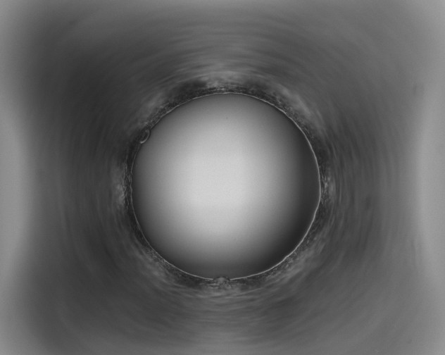 X0000115481012200911131211