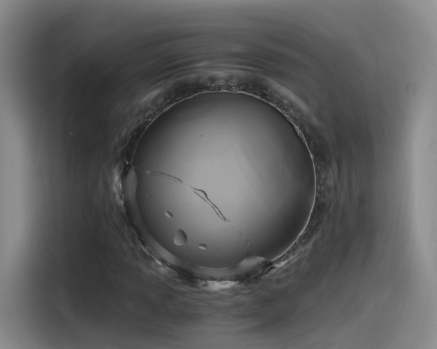 X0000115481013200911131211