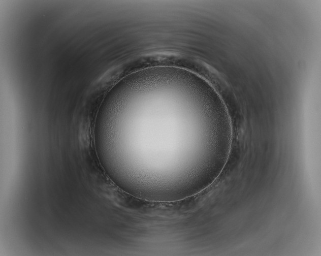 X0000115481014200911131211