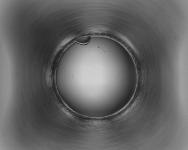 X0000115481018200911131211