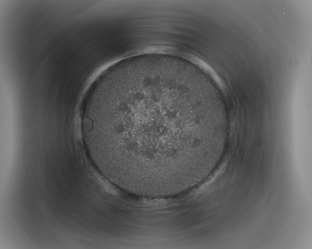 X0000115481019200911131211