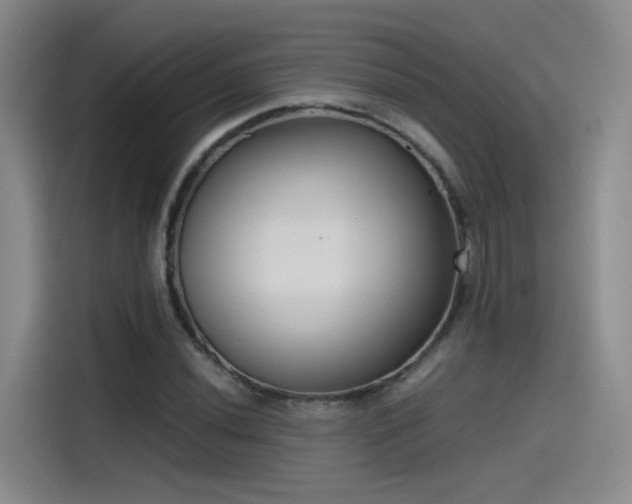 X0000115481020200911131211