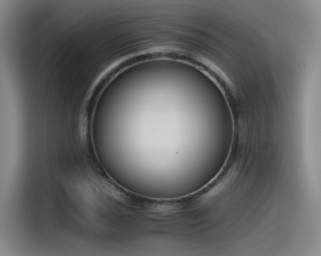 X0000115481021200911131211