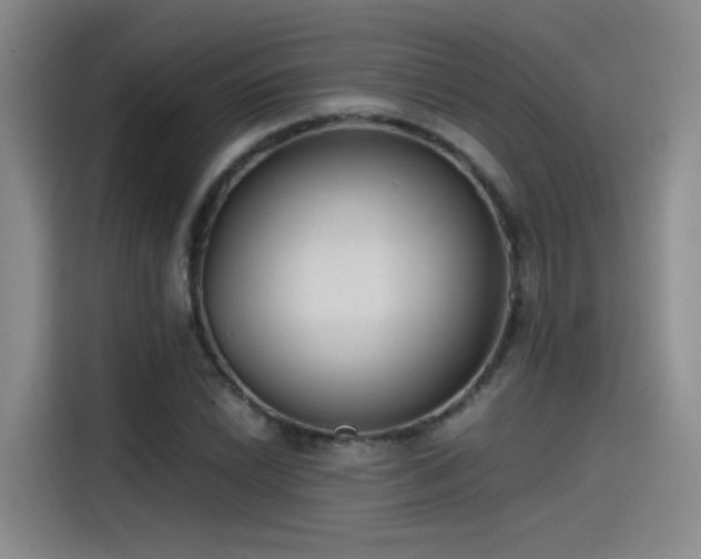 X0000115481022200911131211