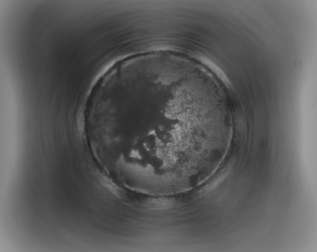 X0000115481023200911131211