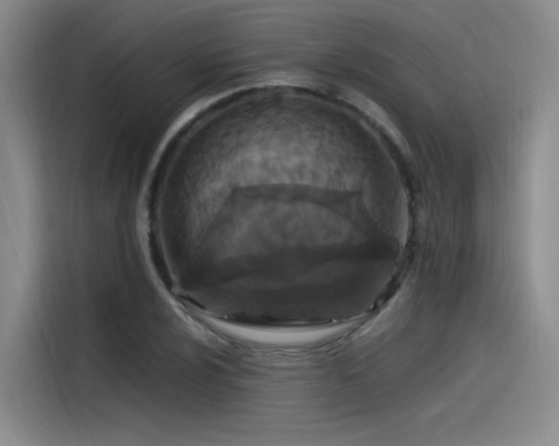 X0000115481024200911131211