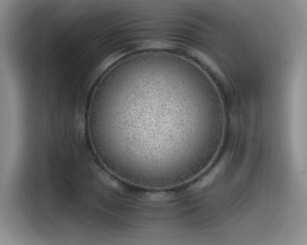 X0000115481025200911131211