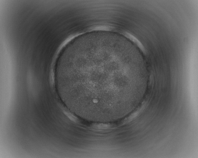 X0000115481027200911131211